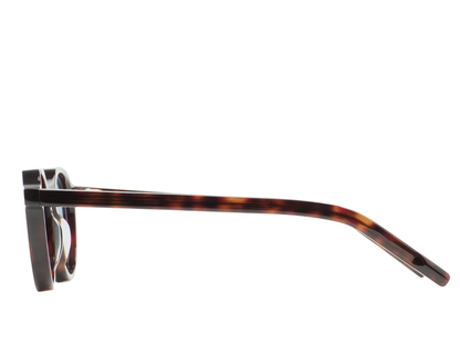 KL Scott 2 46 (s)