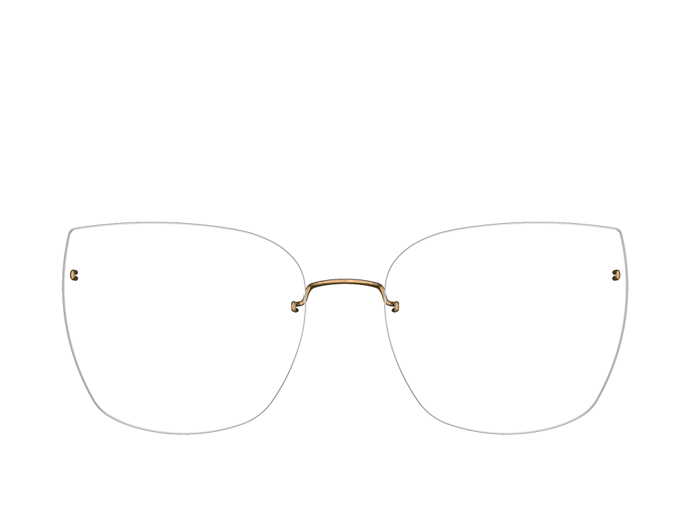 LIN 2585 54 P60 (o)