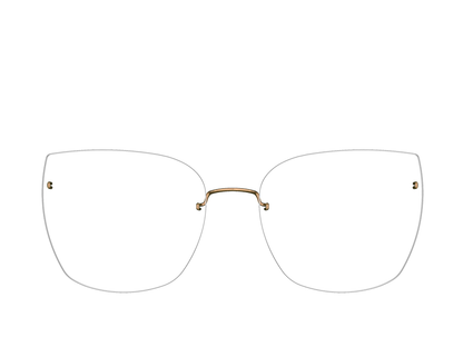 LIN 2585 54 P60 (o)