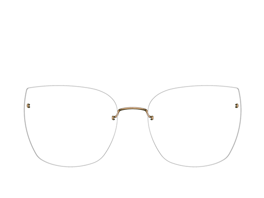LIN 2585 54 P60 (o)
