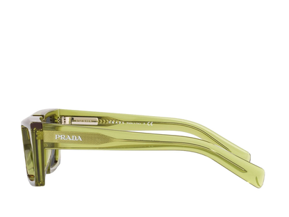 PR 24Y 19B-5S0 55 (ss)