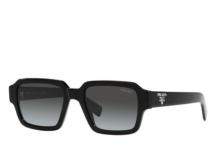 PR 02ZS 1AB-06T 52 (s)