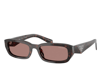 PR B06S 17N-60B 53 (s)