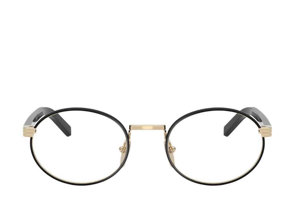 PR B55V AAV-1O1 52 (o)