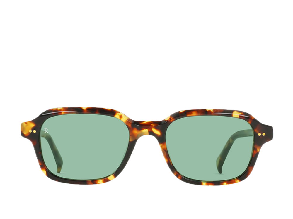 RAE Rhyme Scout Tortoise 51 (s)