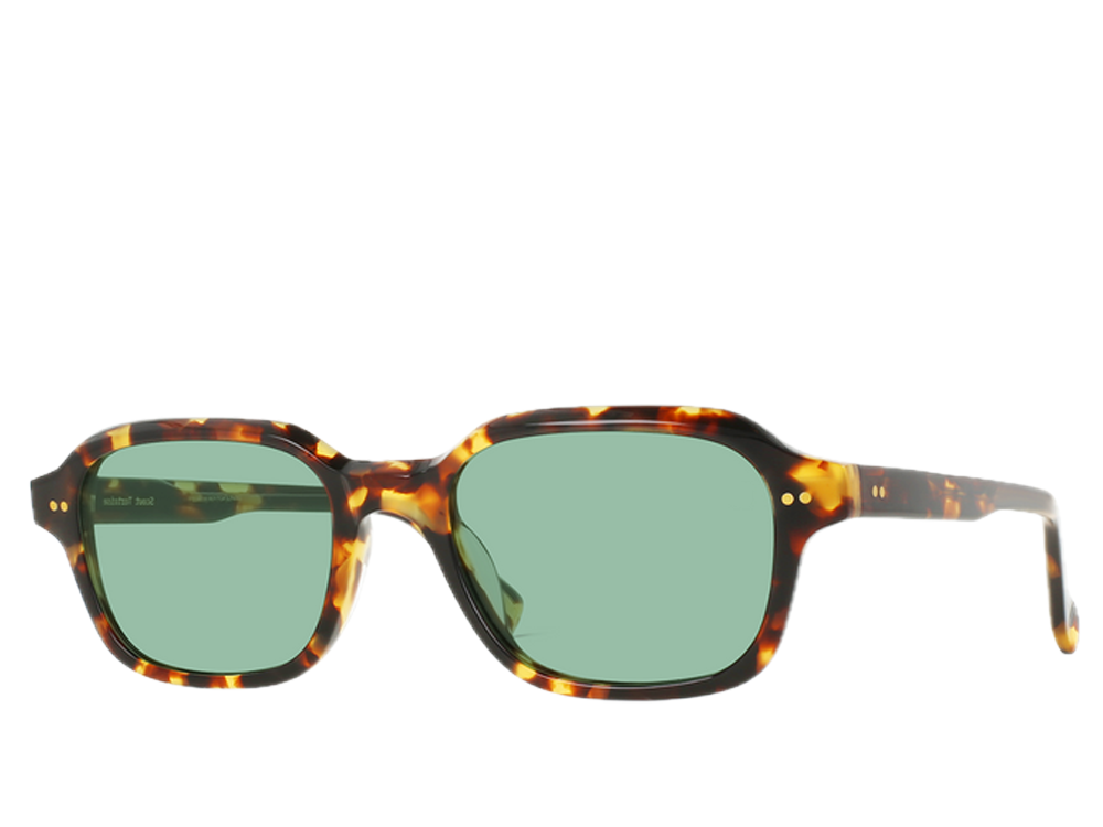 RAE Rhyme Scout Tortoise 51 (s)