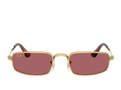 RB 3927 001/AF 54 (s)