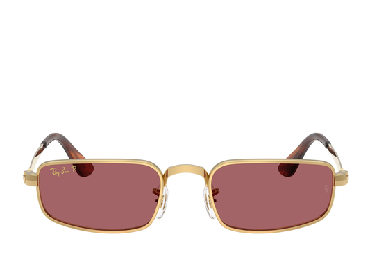 RB 3927 001/AF 54 (s)