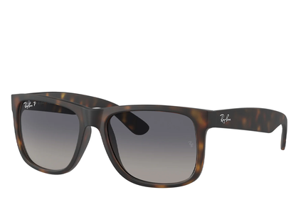 RB 4165 865/8S 54 (s)