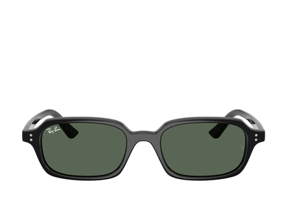 RB 4455 667771 52 (s)