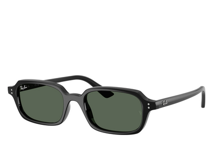 RB 4455 667771 52 (s)