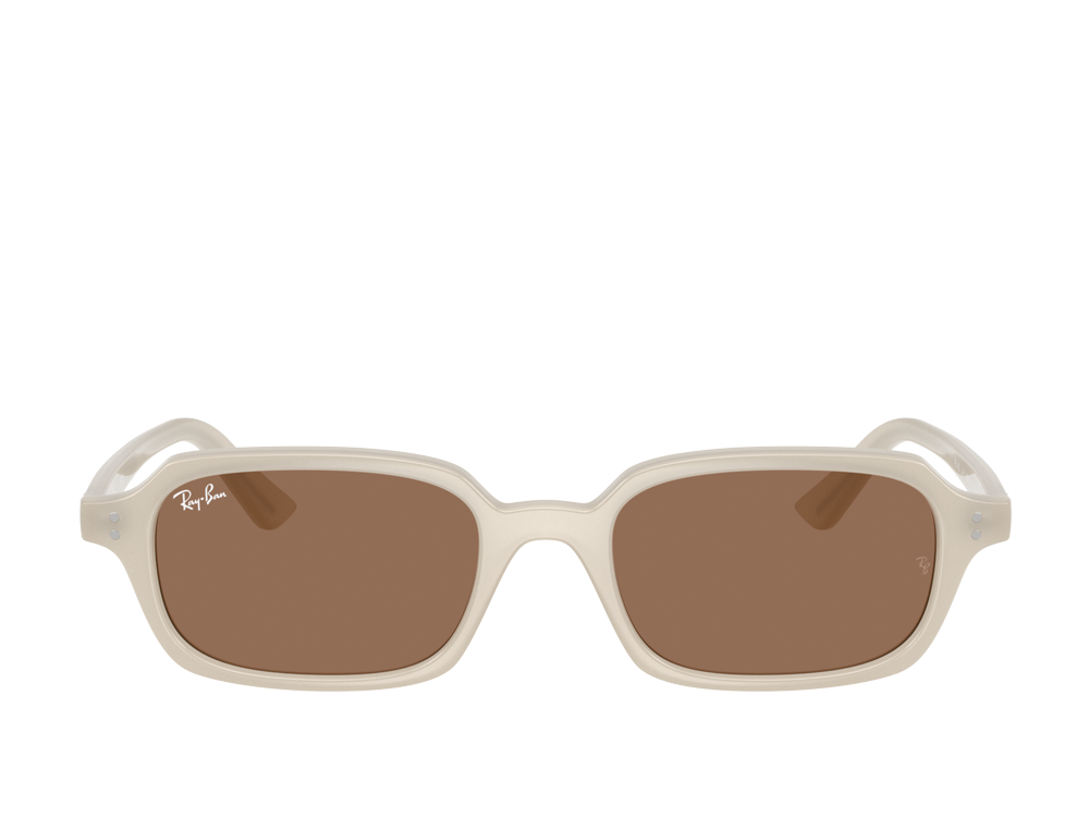 RB 4455 680873 52 (s)