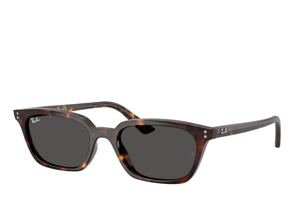 RB 4456 135987 53 (s)