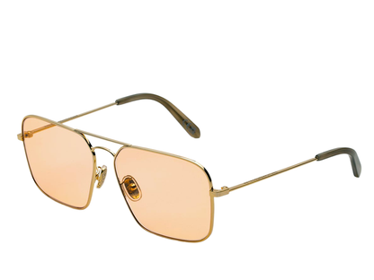 RSF x Iggy 2.0 VDB (s)